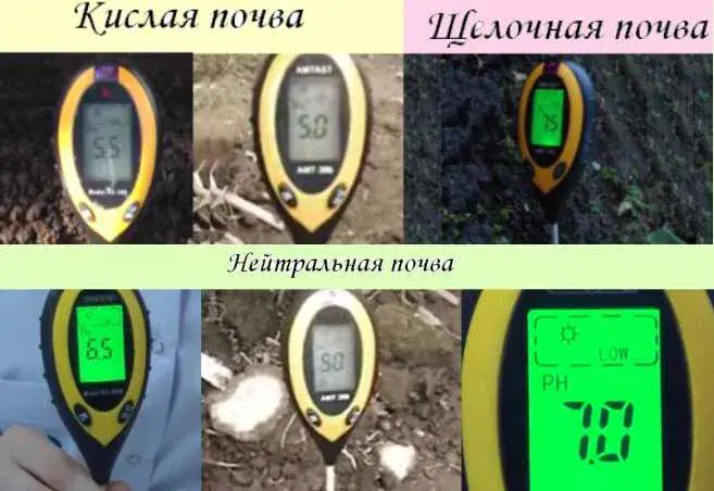 Товар